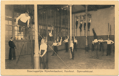 BNS gymnastiek