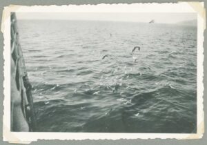 HKV13500IndieJanVanKampenZee-Zj-Album1p08-Coll0592