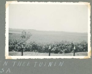 HKV13516IndieJanVanKampenTheefabriekTheetuinenSantosa-Zj-Album1p12-Coll0592