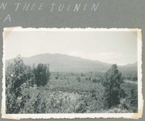 HKV13518IndieJanVanKampenTheefabriekTheetuinenSantosa-Zj-Album1p12-Coll0592